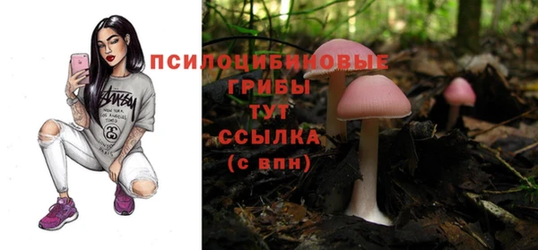 эйфоретик Дмитров