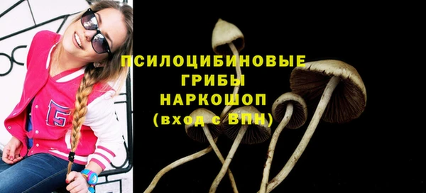 эйфоретик Дмитров