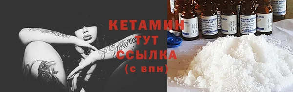 PSILOCYBIN Дмитриев