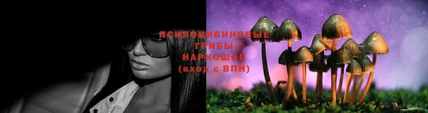 гашиш Дмитровск