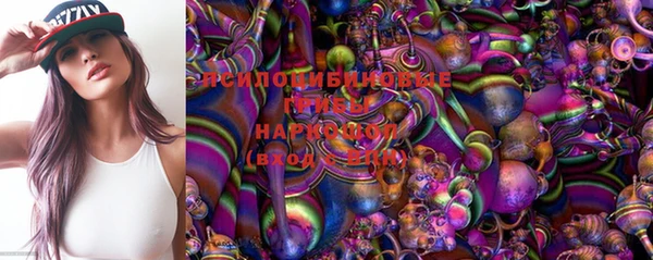 эйфоретик Дмитров