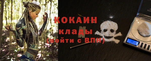 PSILOCYBIN Дмитриев