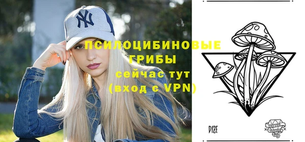 PSILOCYBIN Дмитриев