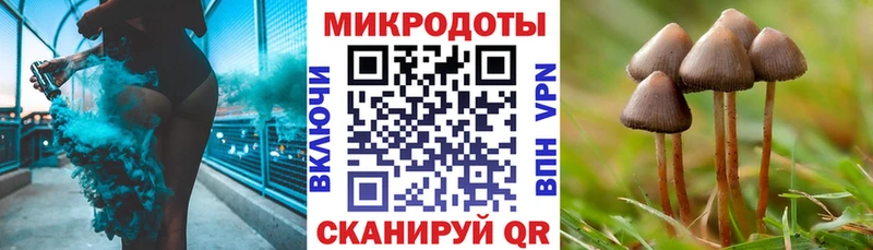 Галлюциногенные грибы Psilocybine cubensis  Купить  Сертолово 